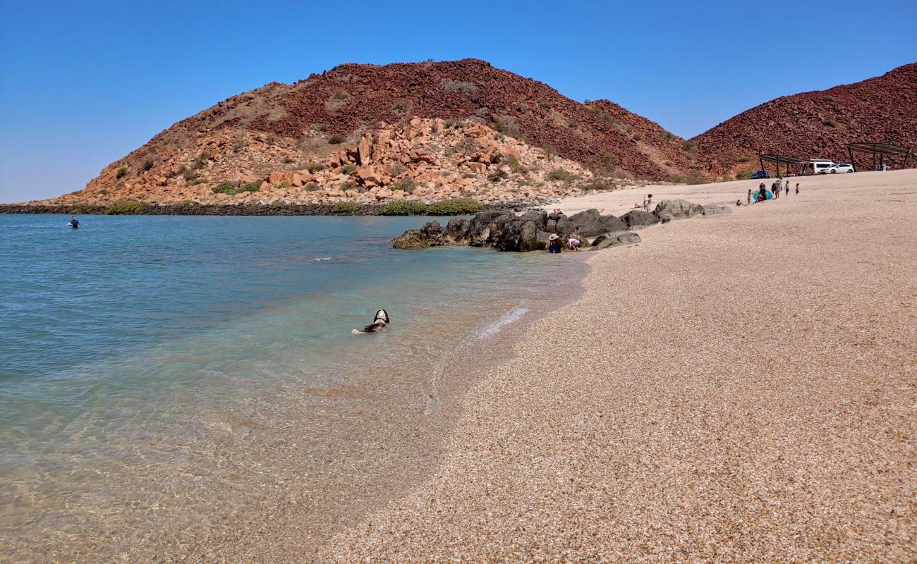 Hearson's Cove'in fotoğrafı hafif ince çakıl taş yüzey ile