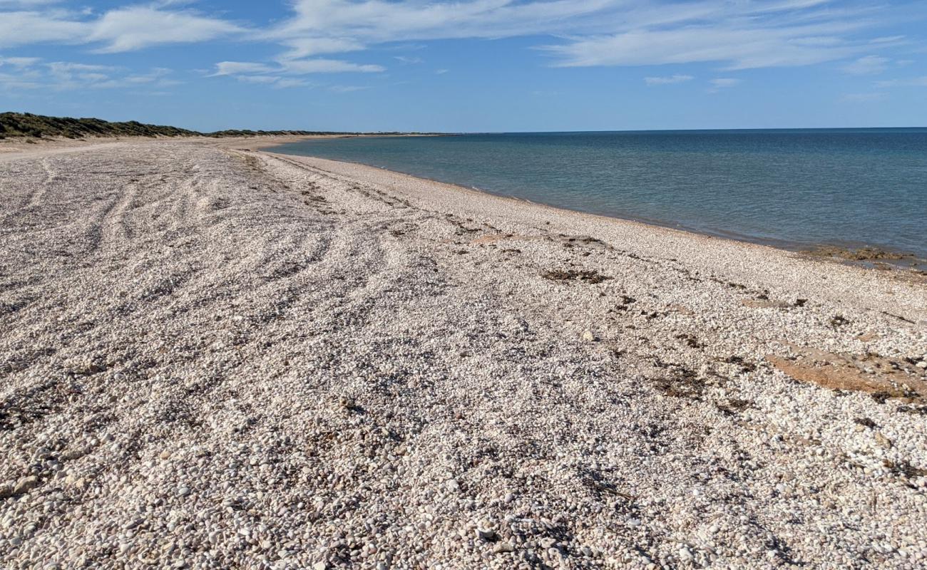 Pebble Beach'in fotoğrafı hafif çakıl yüzey ile