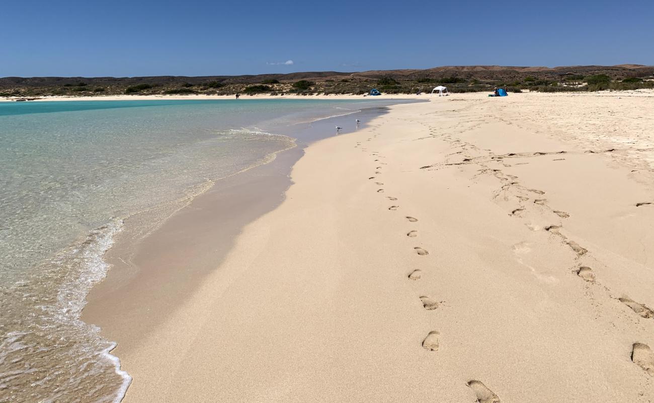 Sandy Bay'in fotoğrafı i̇nce bej kum yüzey ile