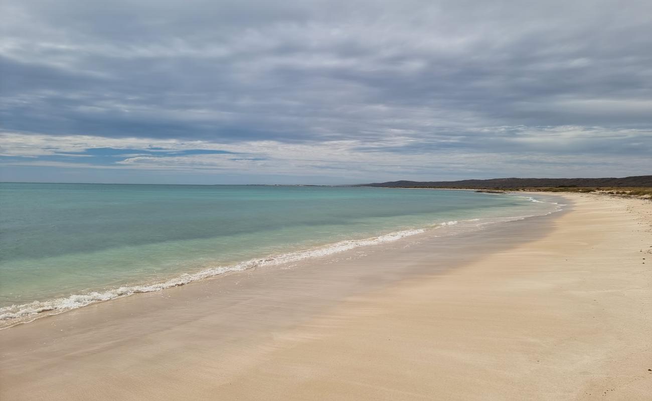 Point Billie Beach'in fotoğrafı i̇nce bej kum yüzey ile