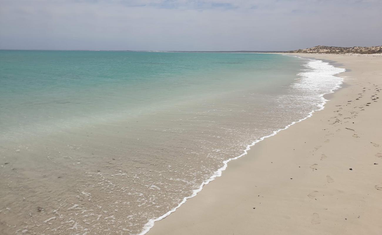 Skeleton Beach'in fotoğrafı parlak ince kum yüzey ile