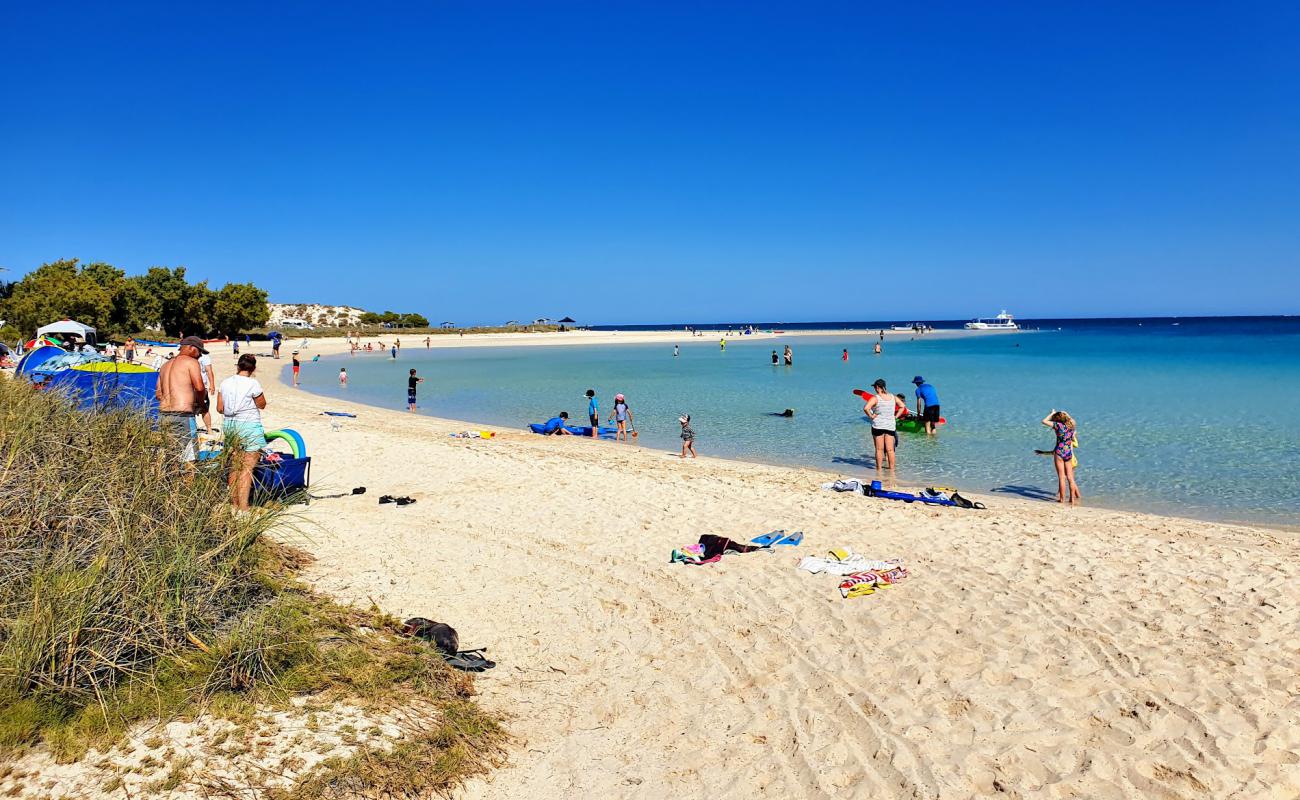 Coral Bay Beach'in fotoğrafı parlak ince kum yüzey ile