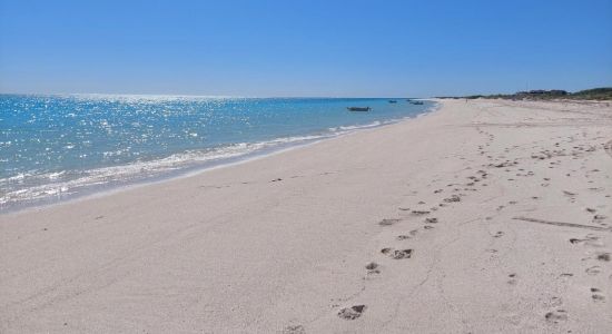 Sandy Point Beach