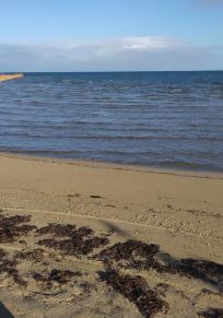 Shark Bay İlçesi