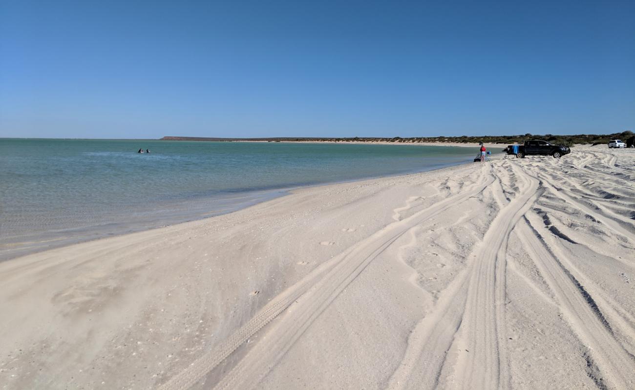 Herald Bight Beach'in fotoğrafı açık bej kum yüzey ile