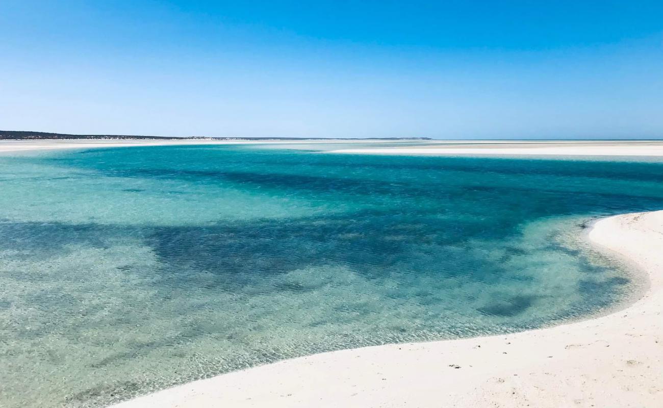 Nicholson Point Shark Bay'in fotoğrafı açık bej kum yüzey ile