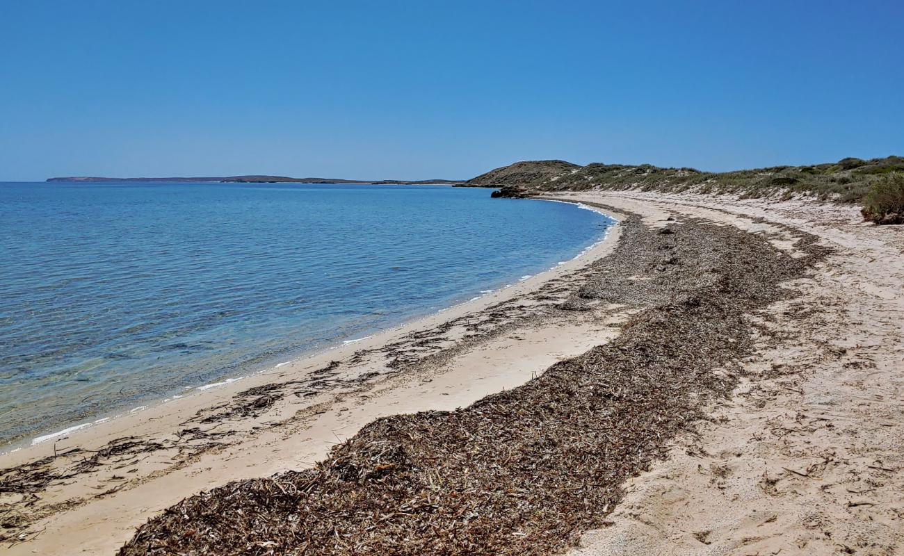 The Whalebone Road Beach'in fotoğrafı açık bej kum yüzey ile