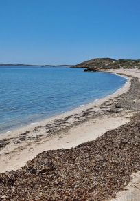Shark Bay İlçesi