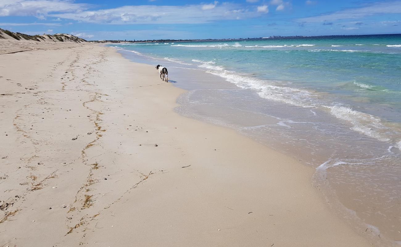 Glenfield Beach'in fotoğrafı parlak kum yüzey ile