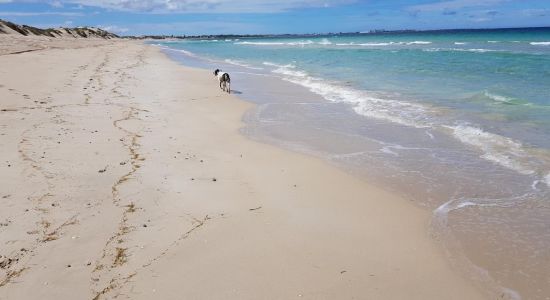 Glenfield Beach