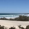 Tarcoola Beach