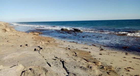 African Reef Beach