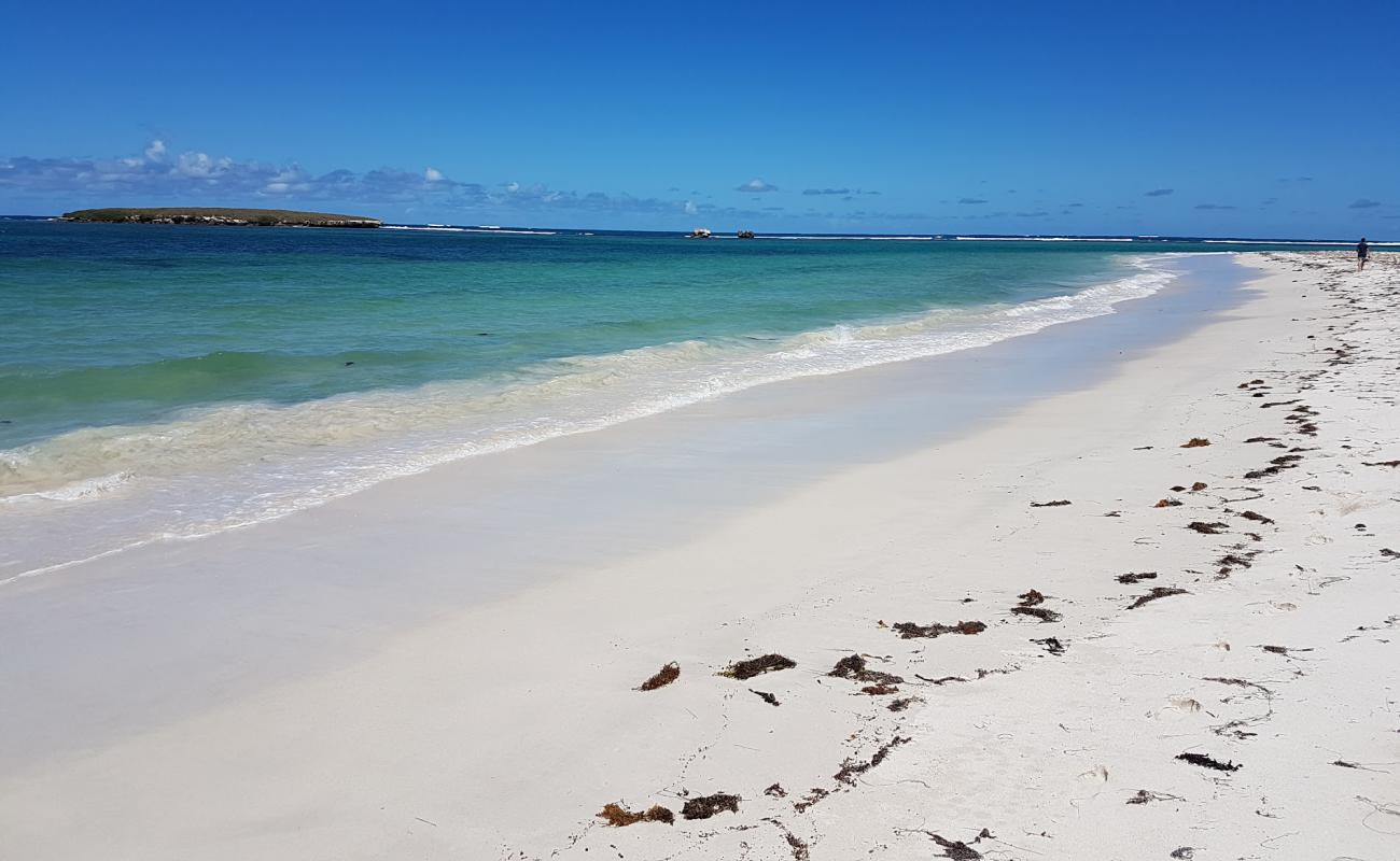 Jurien Bay'in fotoğrafı i̇nce beyaz kum yüzey ile