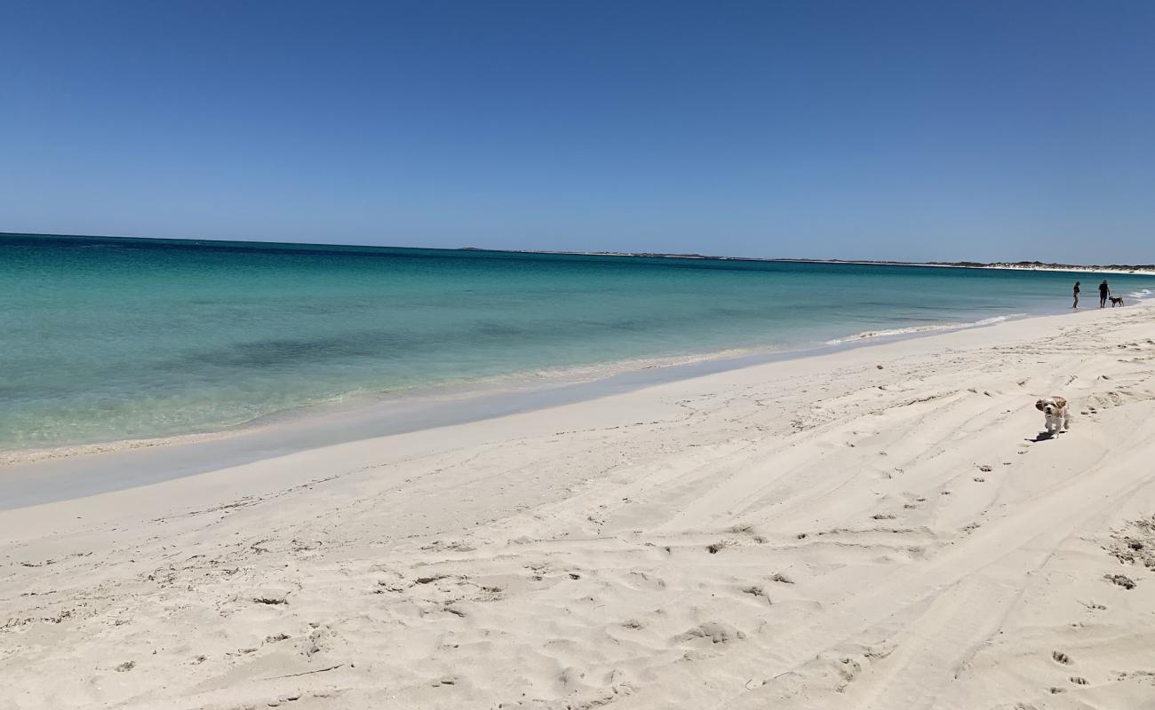 Jurien Dog Beach'in fotoğrafı beyaz kum yüzey ile