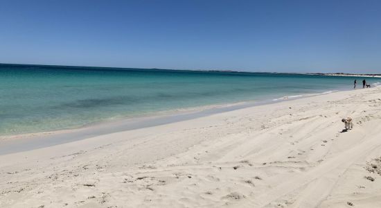 Jurien Dog Beach