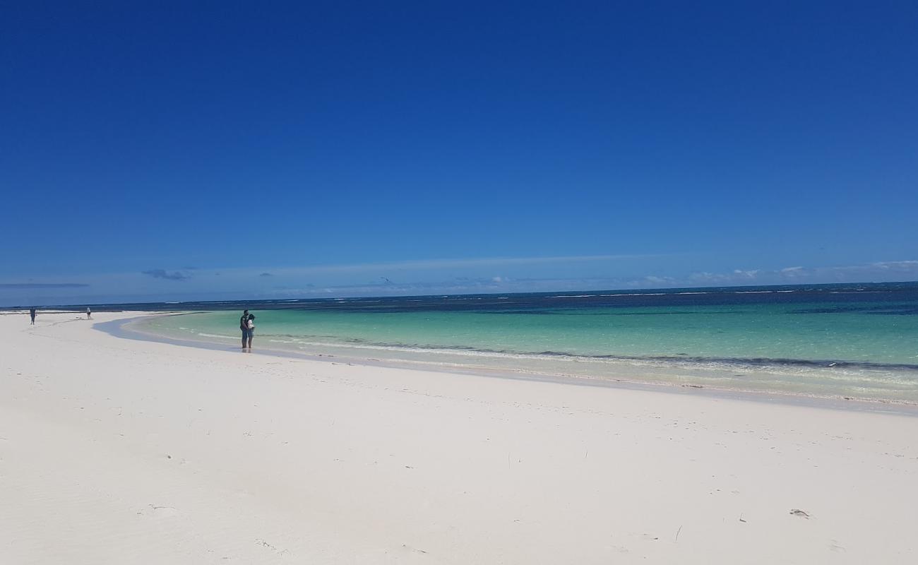 Hangover Bay Beach'in fotoğrafı i̇nce beyaz kum yüzey ile