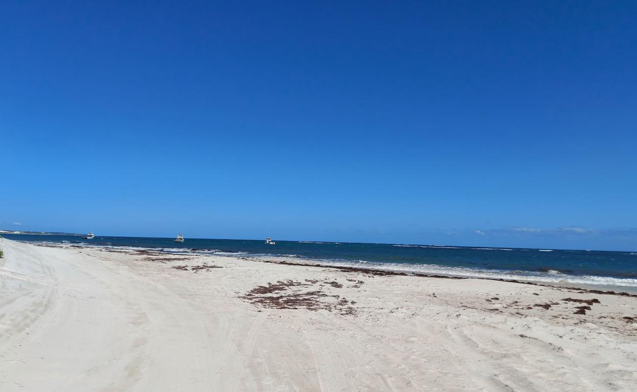 Ledge Point Beach'in fotoğrafı i̇nce beyaz kum yüzey ile
