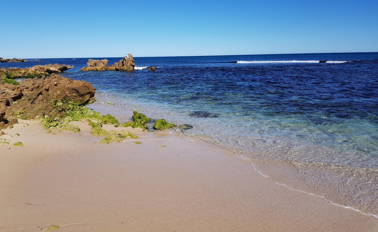 Trigg Dog Beach'in fotoğrafı açık bej kum yüzey ile