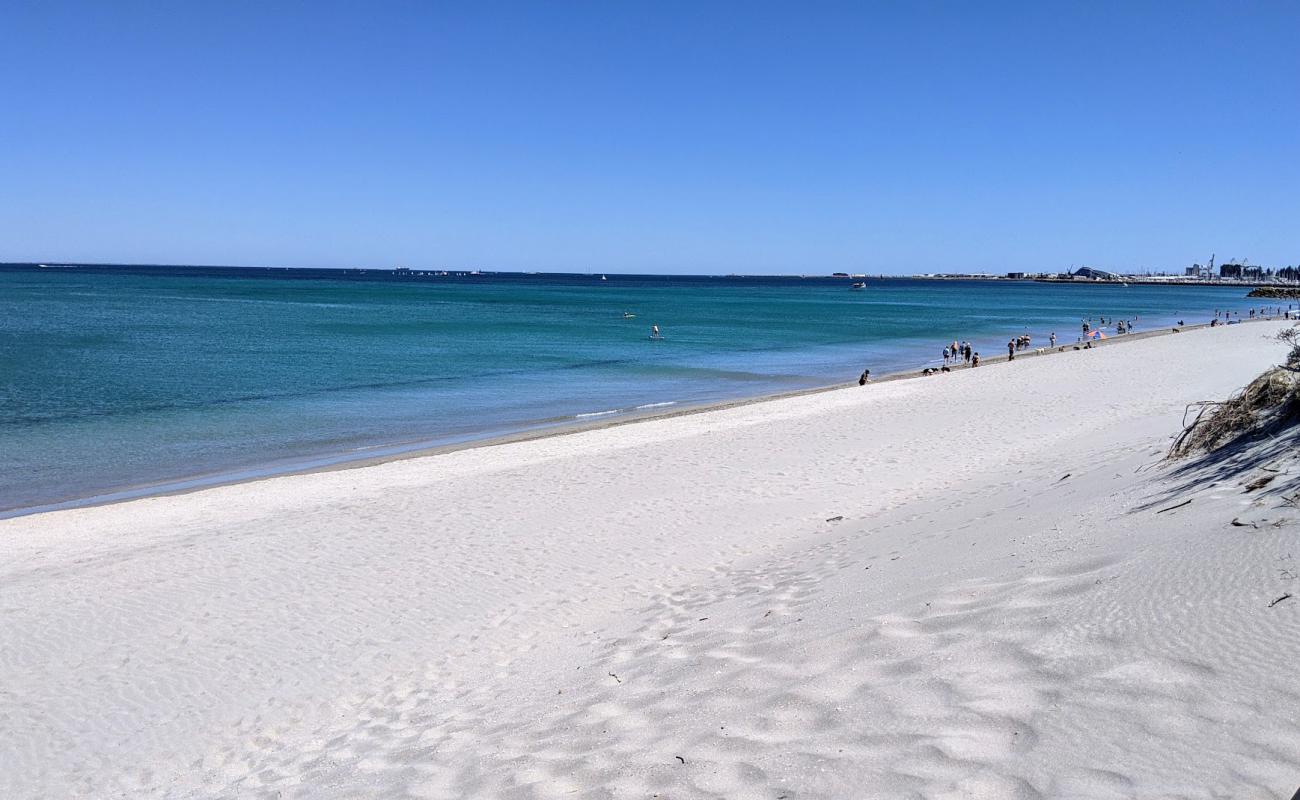 North Coogee Dog Beach'in fotoğrafı parlak kum yüzey ile