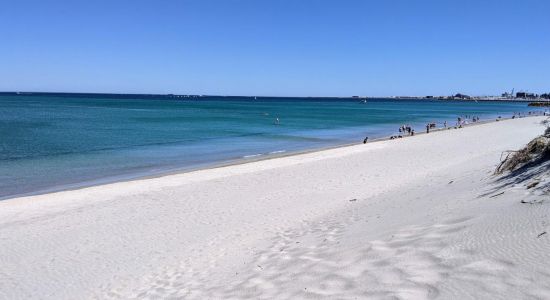 North Coogee Dog Beach