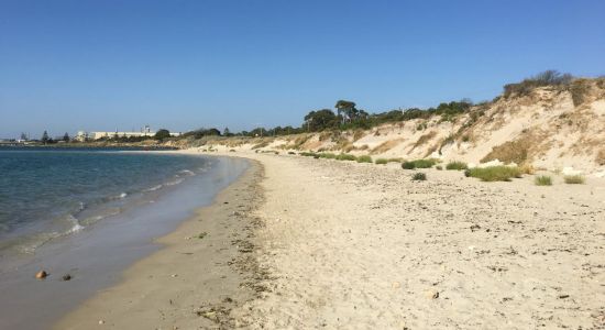 Kwinana Dog Beach