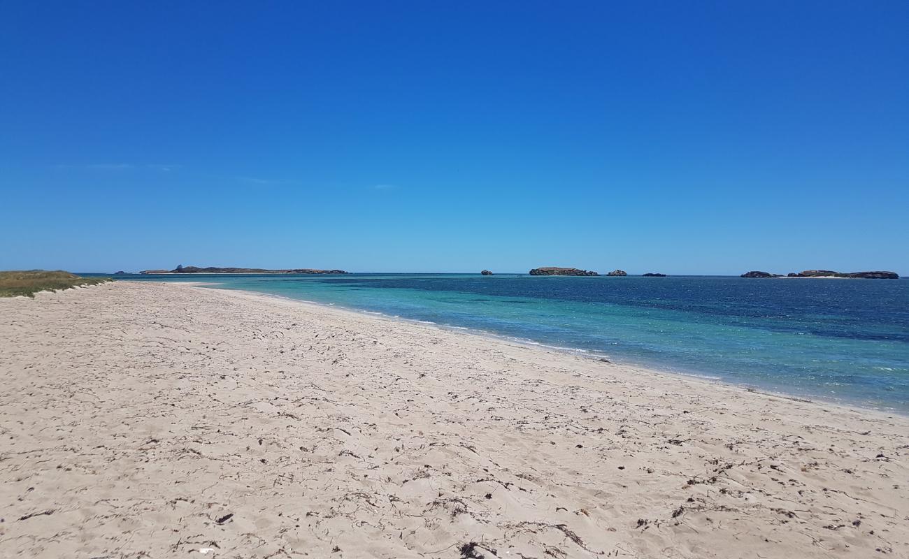 Shoalwater Beach'in fotoğrafı açık bej kum yüzey ile