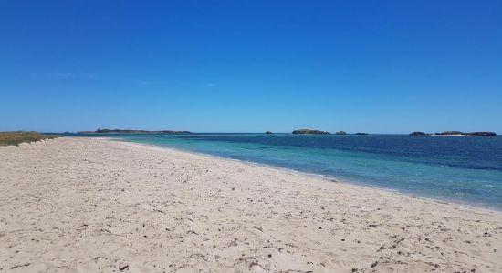 Shoalwater Beach