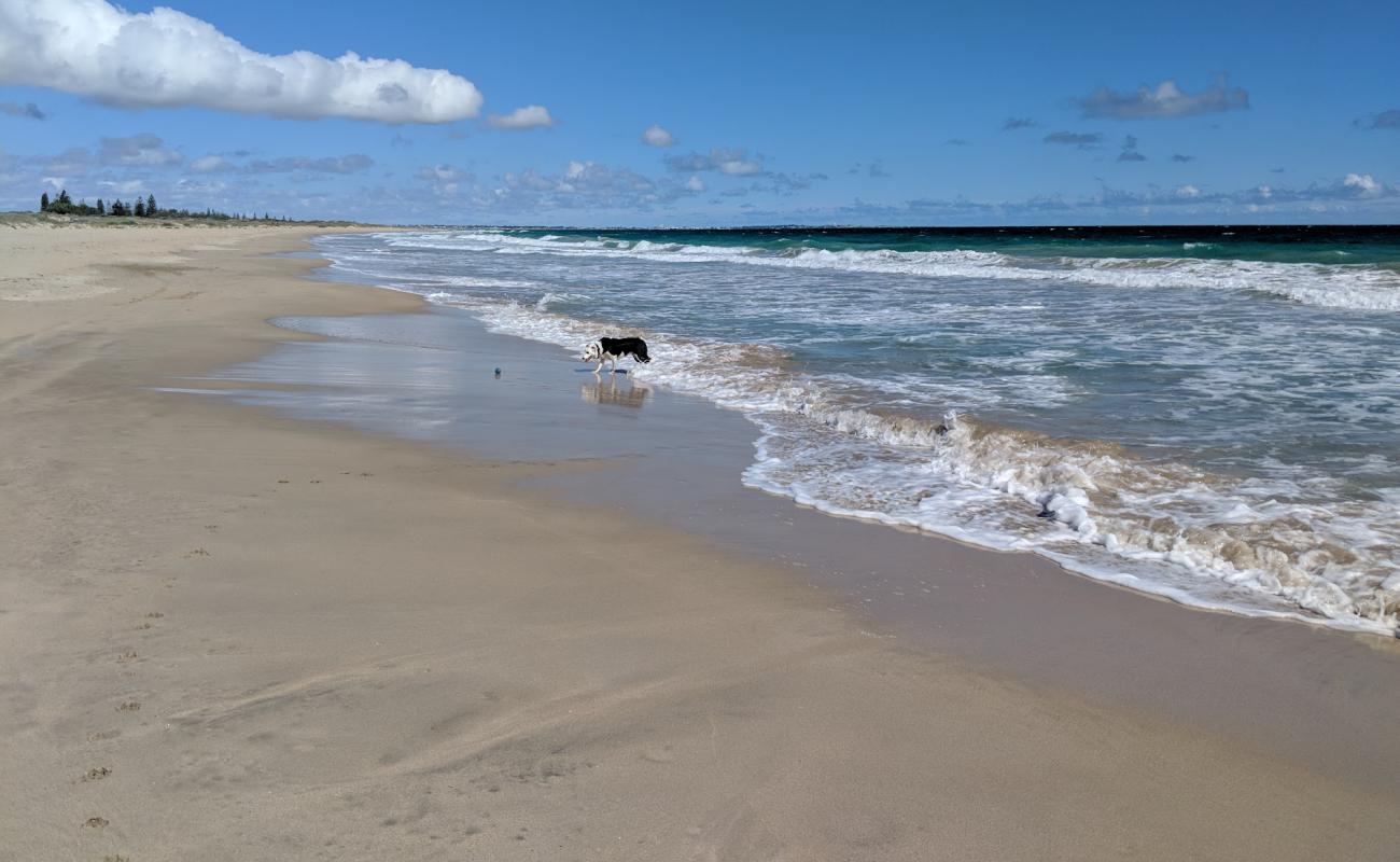 Singleton Beach'in fotoğrafı açık bej kum yüzey ile