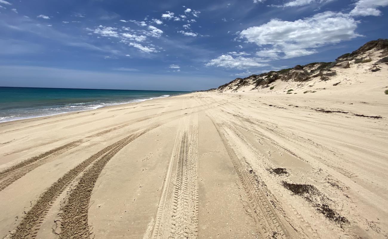 White Hills Beach'in fotoğrafı açık bej kum yüzey ile