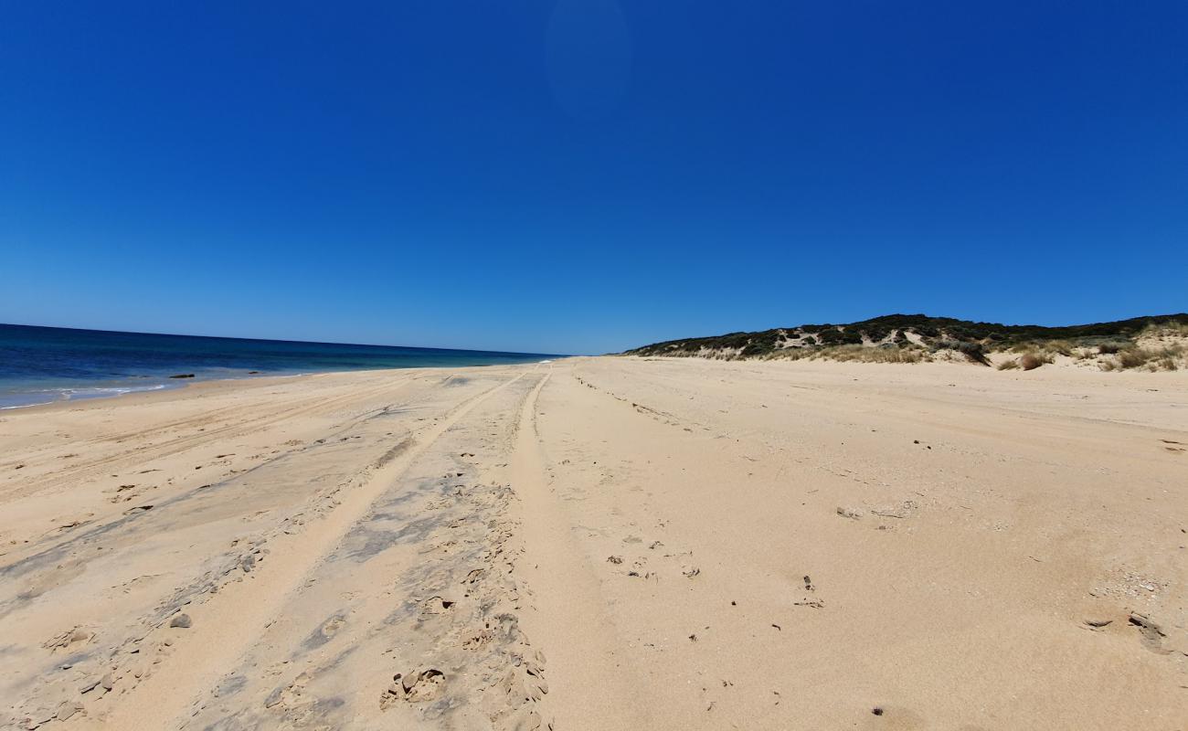 Buffalo Beach'in fotoğrafı açık bej kum yüzey ile
