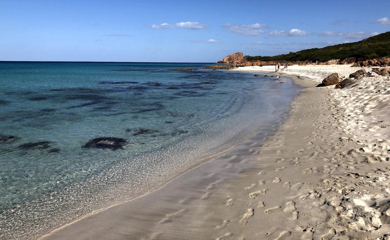 Castle Rock Beach'in fotoğrafı parlak kum yüzey ile