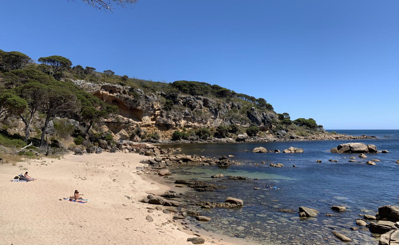 Shelley Cove Beach'in fotoğrafı açık bej kum yüzey ile