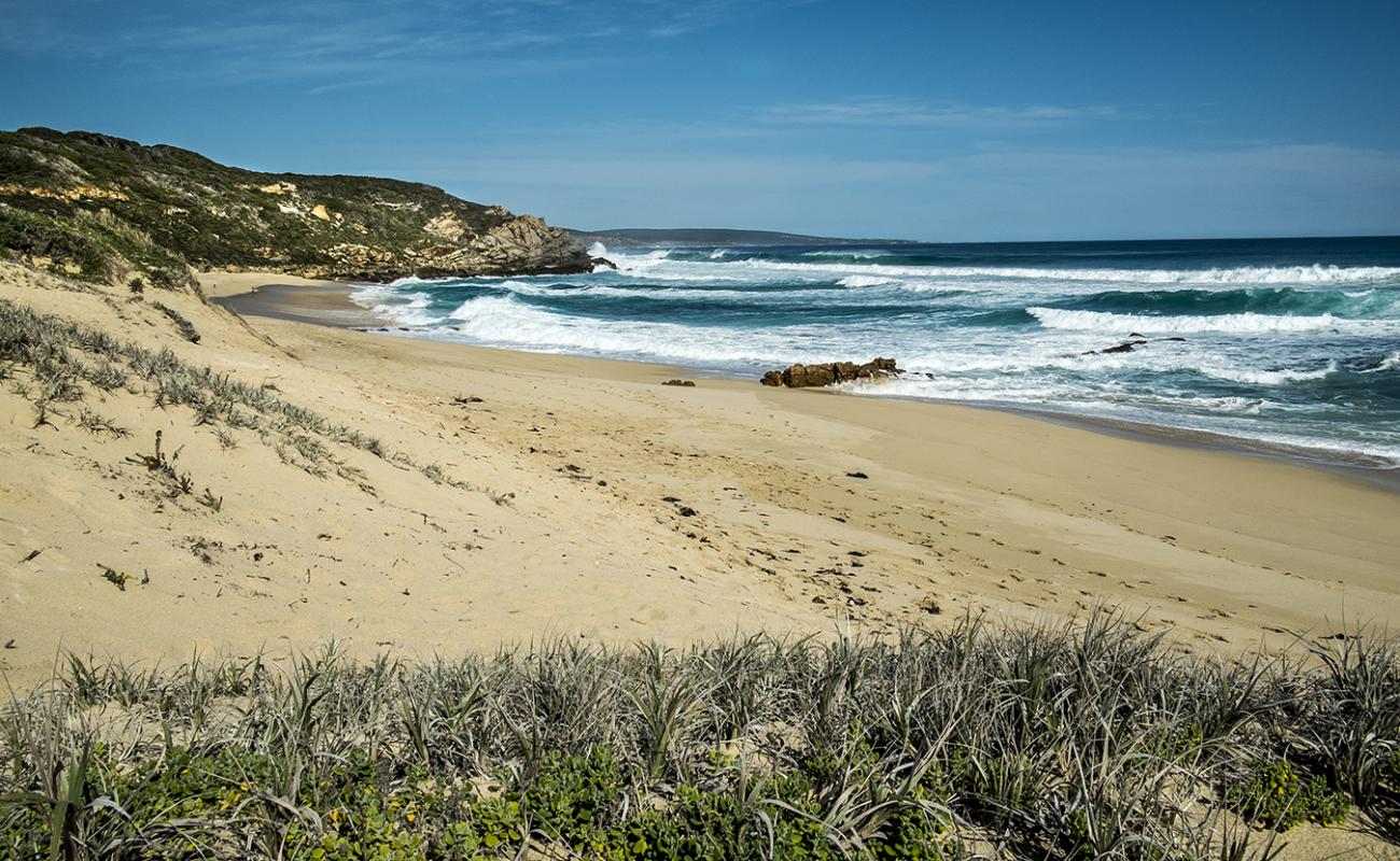 Honeycombs Beach'in fotoğrafı parlak kum yüzey ile