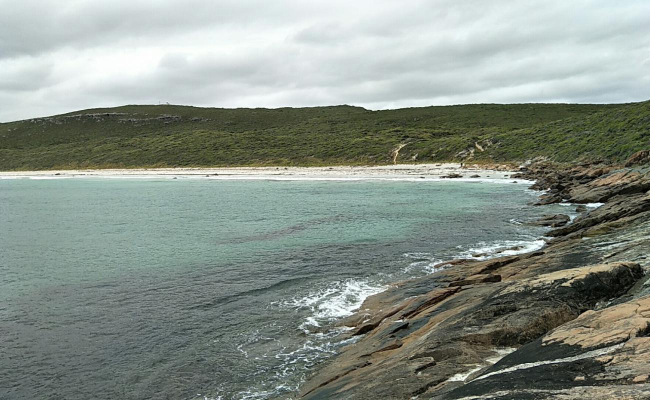 Hamelin Beach'in fotoğrafı parlak kum yüzey ile