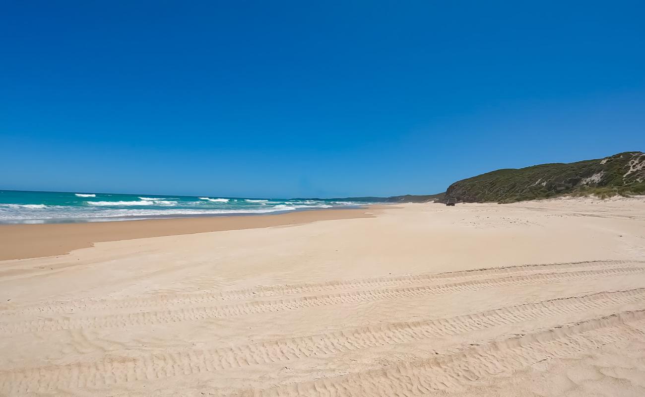 Jasper Beach'in fotoğrafı açık bej kum yüzey ile