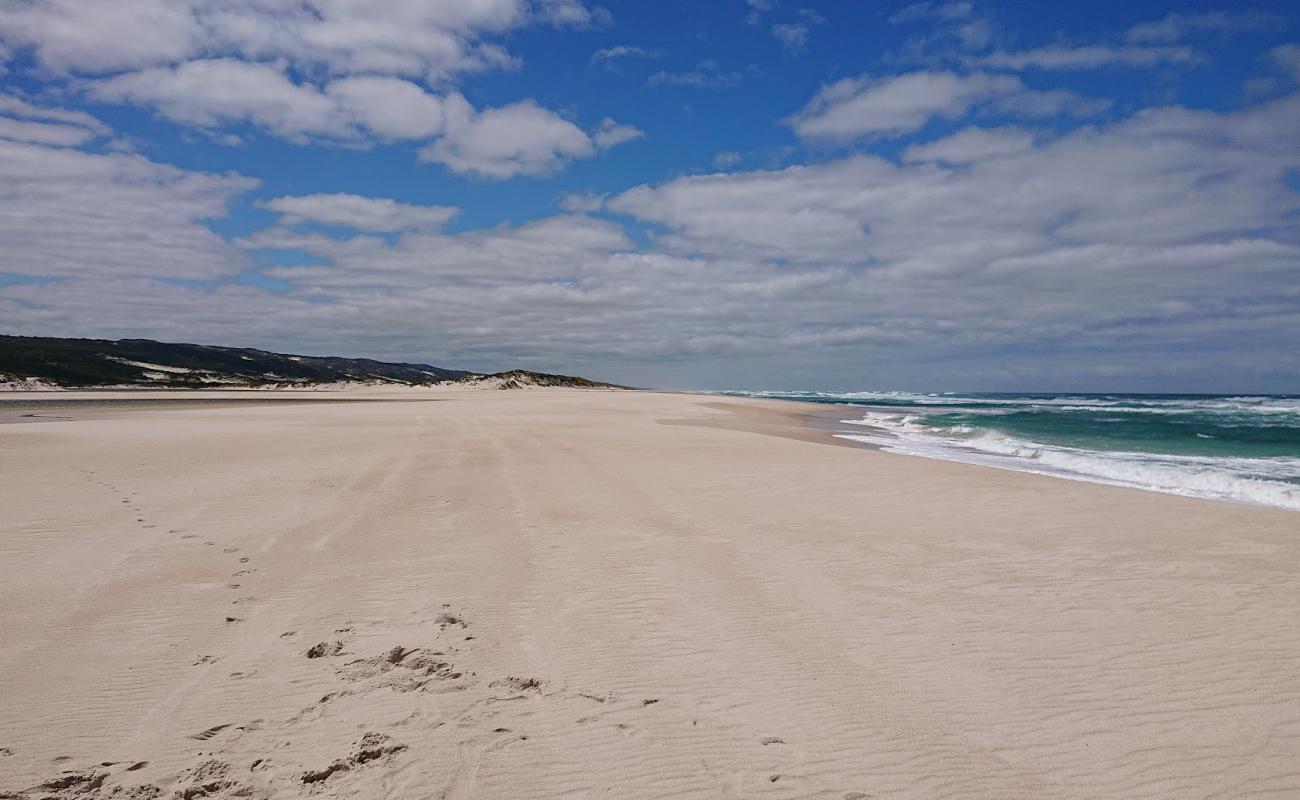 Yeagarup Beach'in fotoğrafı açık bej kum yüzey ile