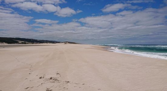 Yeagarup Beach