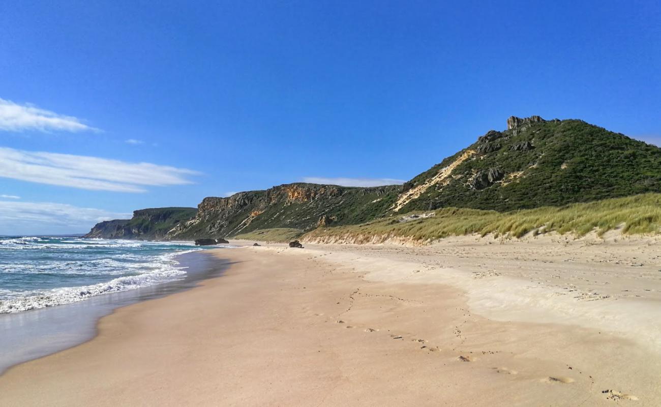 Salmon Beach'in fotoğrafı açık bej kum yüzey ile