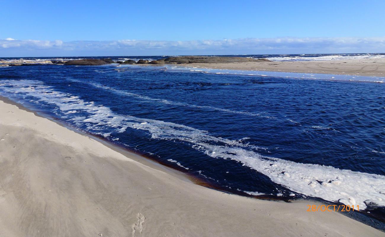 Gardner Beach'in fotoğrafı parlak kum yüzey ile