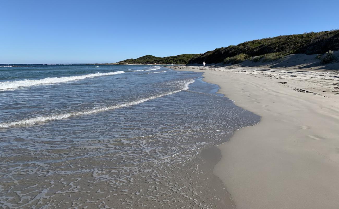 Parry Beach'in fotoğrafı parlak kum yüzey ile