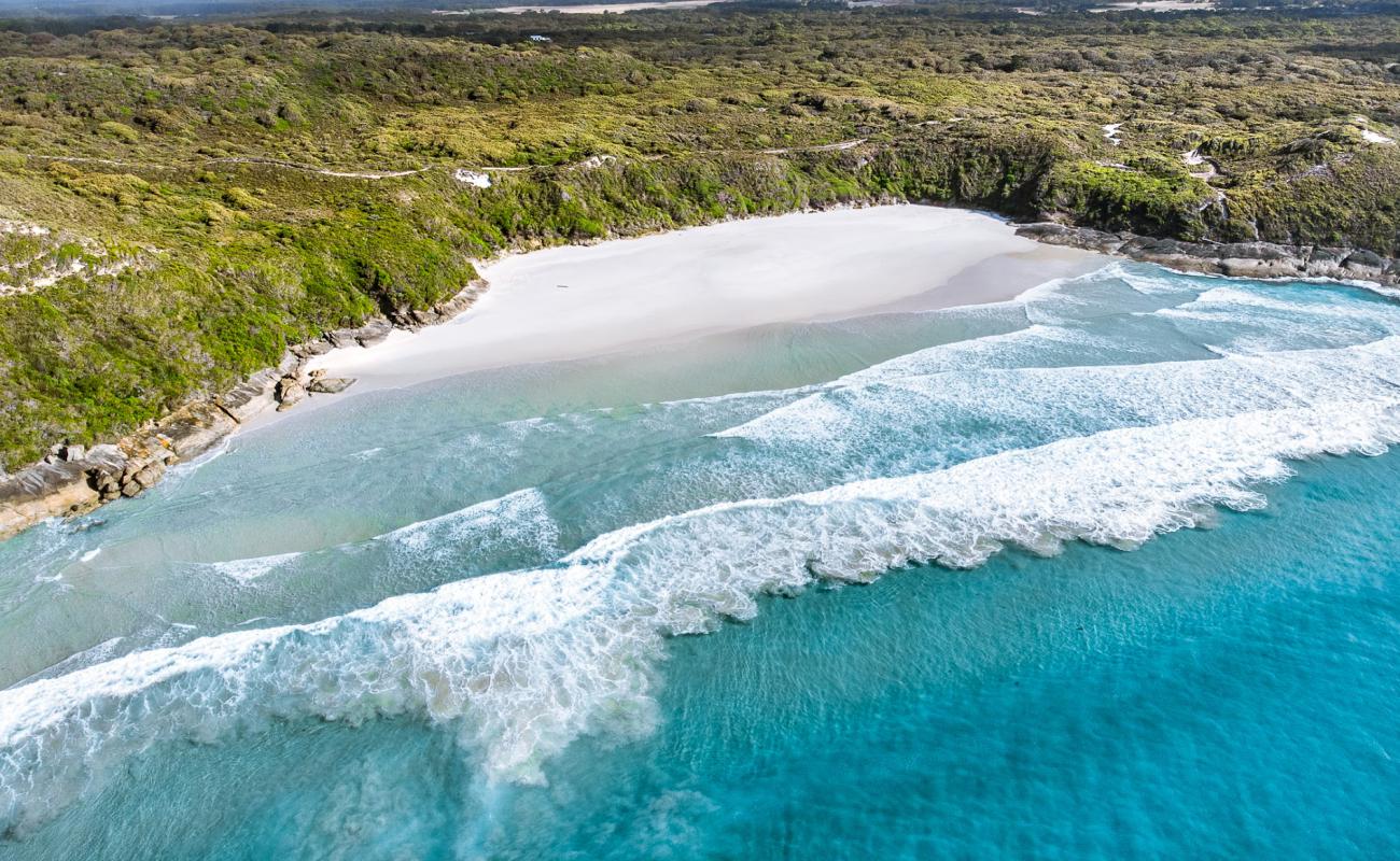 Lowlands Beach'in fotoğrafı parlak kum yüzey ile