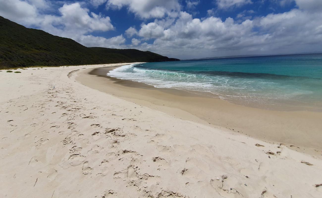 Shelly Beach'in fotoğrafı parlak kum yüzey ile