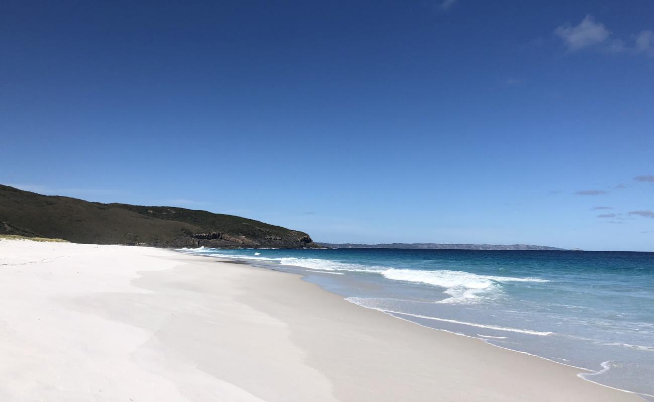 Dingo Beach'in fotoğrafı parlak kum yüzey ile