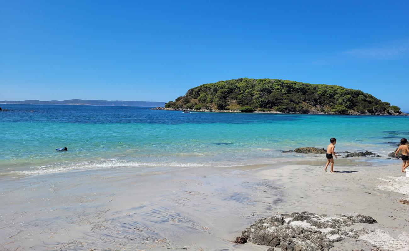 Hartmans Beach'in fotoğrafı parlak kum yüzey ile