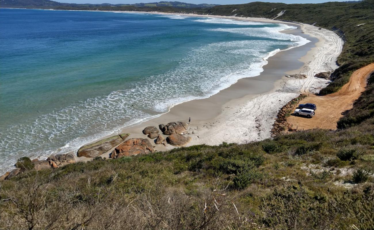 Muttonbird Beach'in fotoğrafı parlak kum yüzey ile