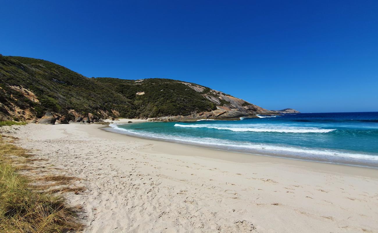 Salmon Beach'in fotoğrafı parlak kum yüzey ile