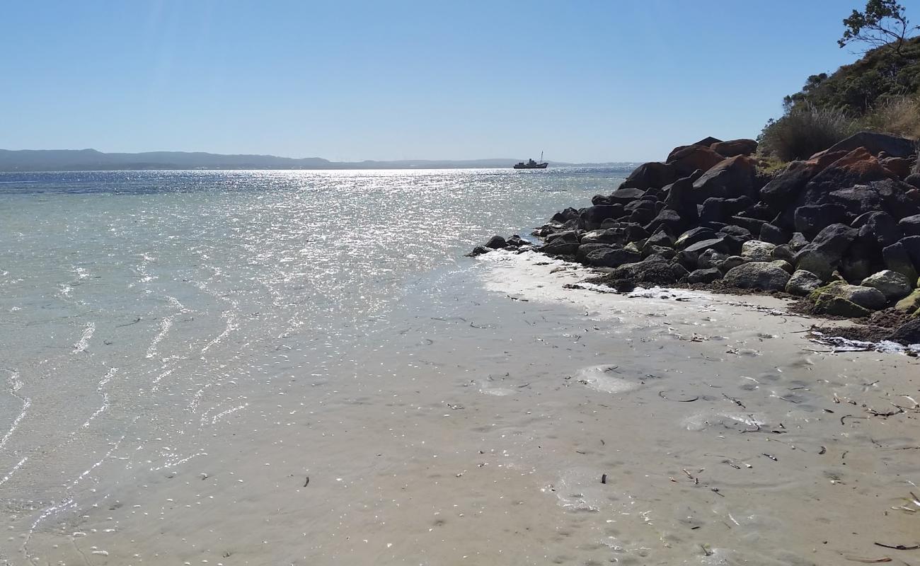 Vancouver Beach'in fotoğrafı parlak kum yüzey ile