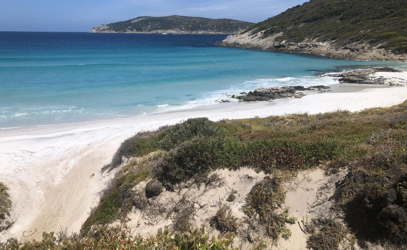 Back Beach'in fotoğrafı beyaz kum yüzey ile