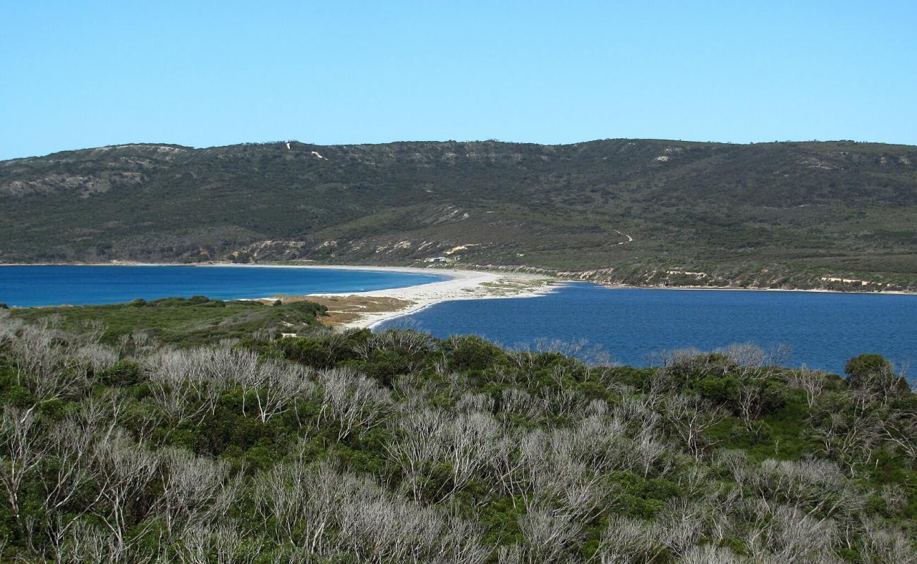 Pallinup Beach'in fotoğrafı açık bej kum yüzey ile