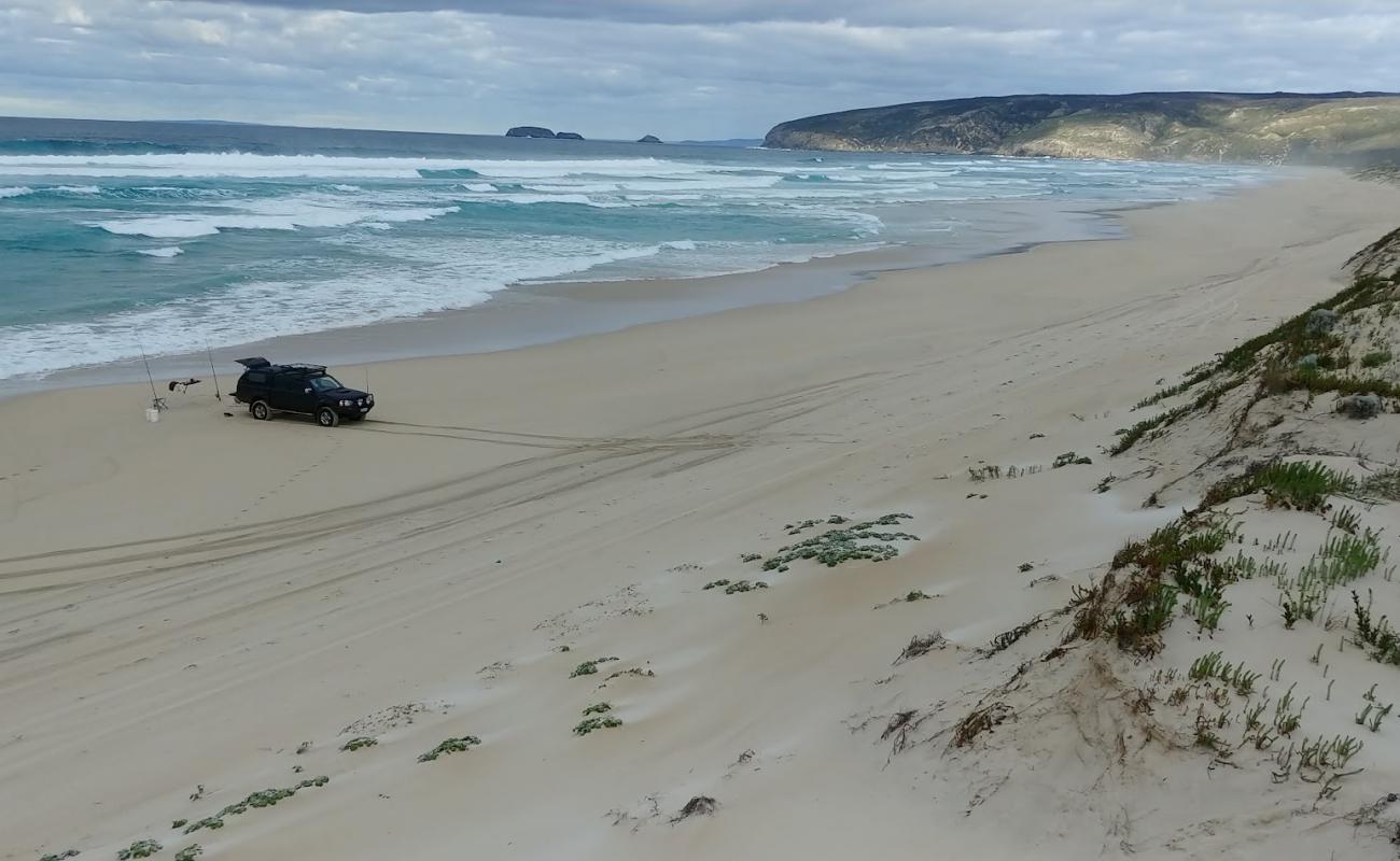 Foster Beach'in fotoğrafı açık bej kum yüzey ile